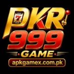 PKR999 Game Logo
