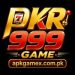 PKR999 Game Logo